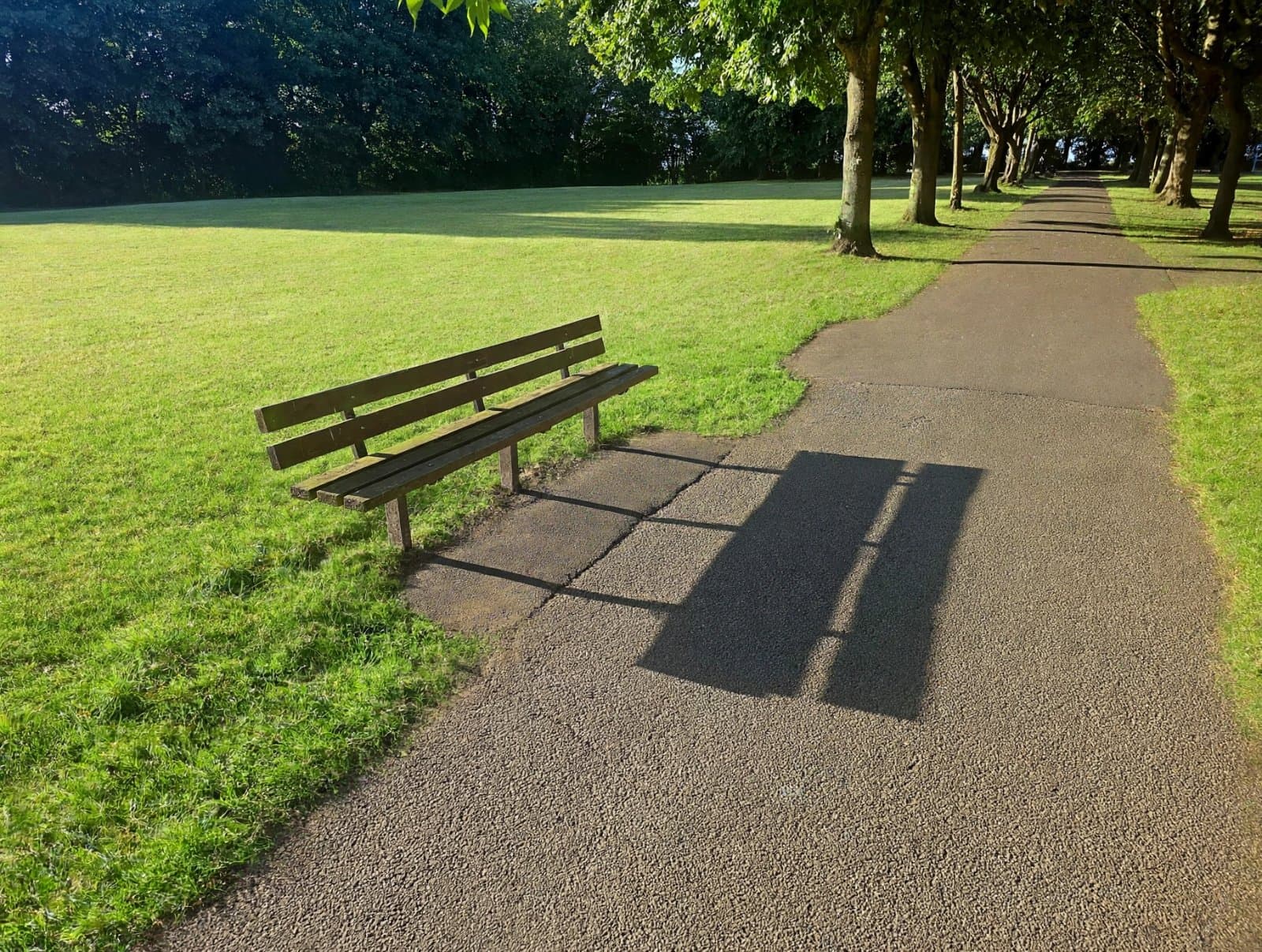 Quiet park bench in green open space - online therapy support shaped around you"